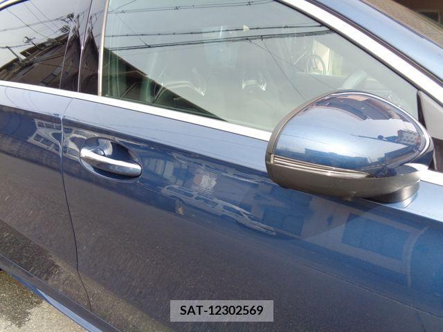 Amg A-Class 2021-07 246250-8