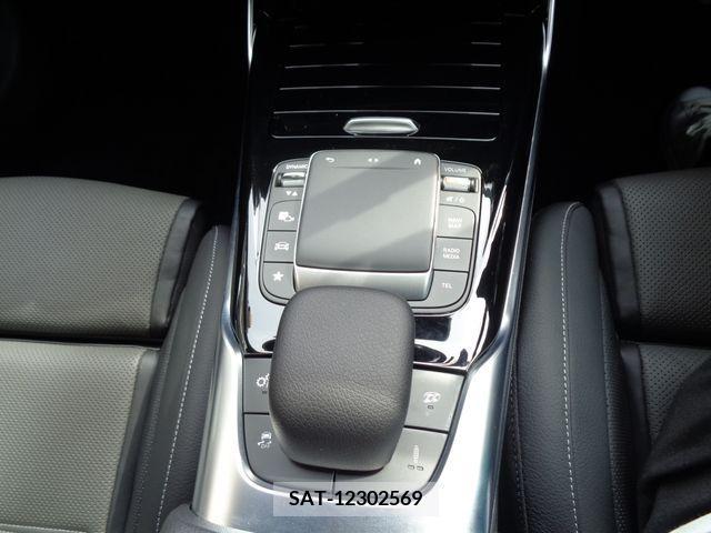 Amg A-Class 2021-07 246250-19