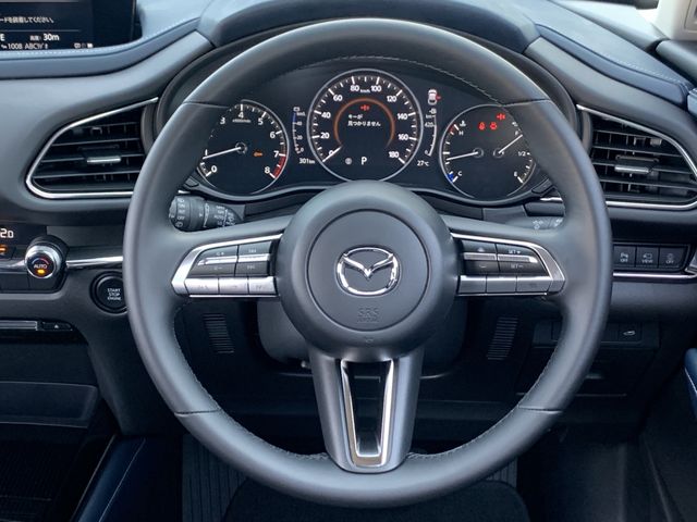 Mazda CX-30 2021-11 186011-10