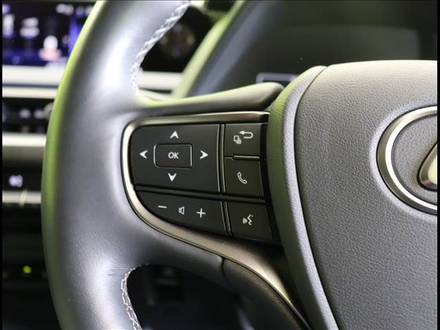 Lexus UX 2019-04 14440-9