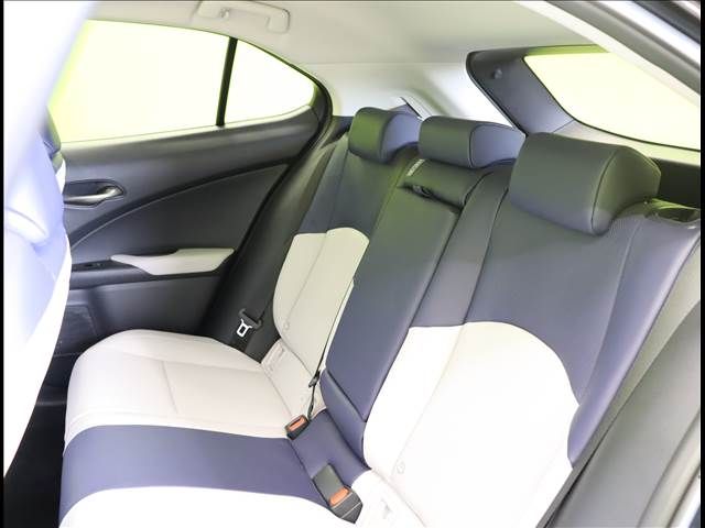 Lexus UX 2019-04 14440-28