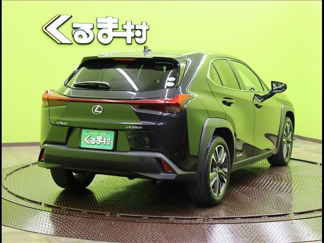 Lexus UX 2019-04 14440-1