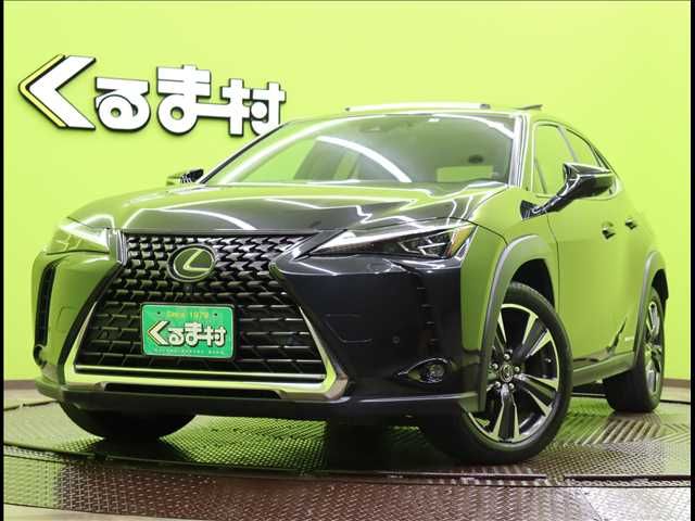 Lexus UX 2019-04 14440-0