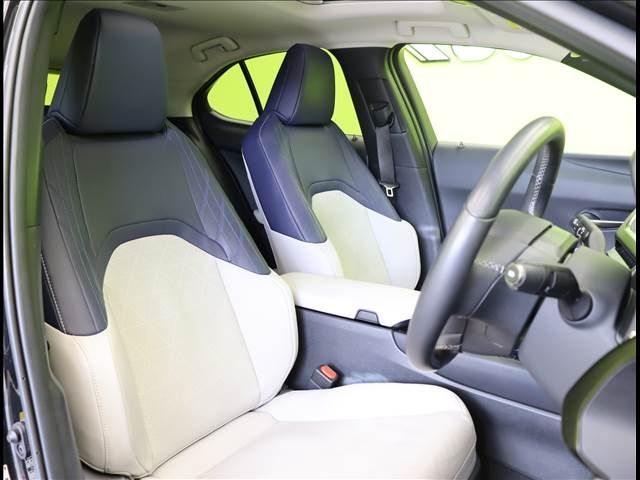 Lexus UX 2019-04 14440-20