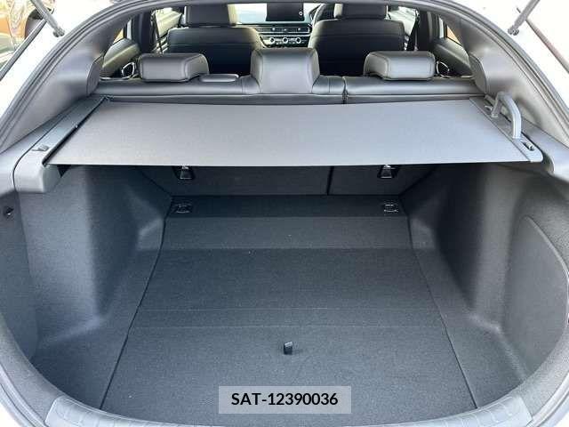 Honda CIVIC 2023-09 389993-11