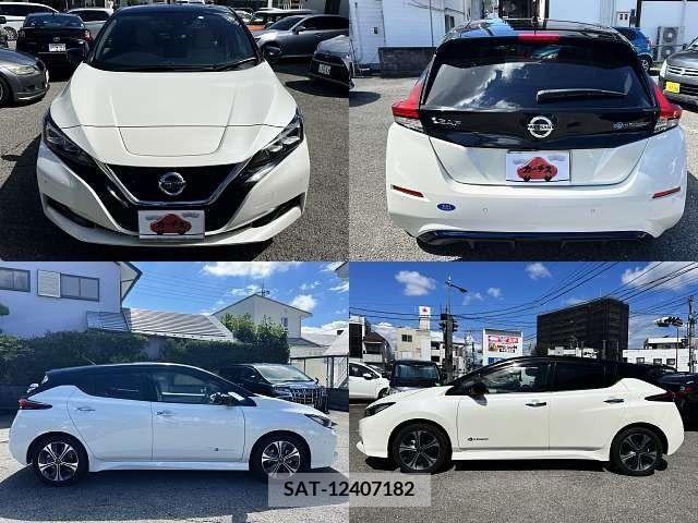 Nissan LEAF 2018-04 395452-5