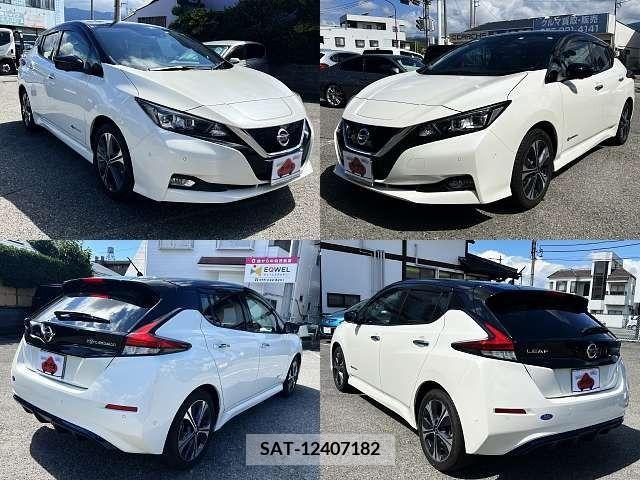 Nissan LEAF 2018-04 395452-4