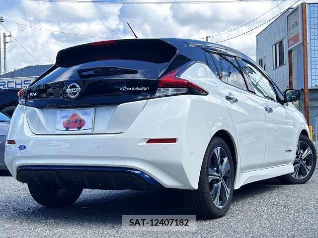 Nissan LEAF 2018-04 395452-2