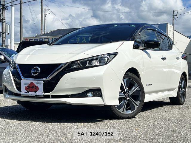 Nissan LEAF 2018-04 395452-0