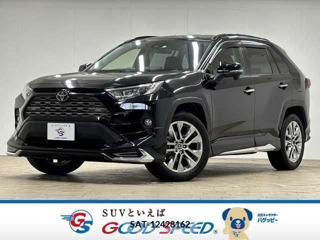 Toyota RAV4 2019-07 313139-0