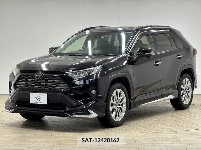 Toyota RAV4 2019-07 313139-14
