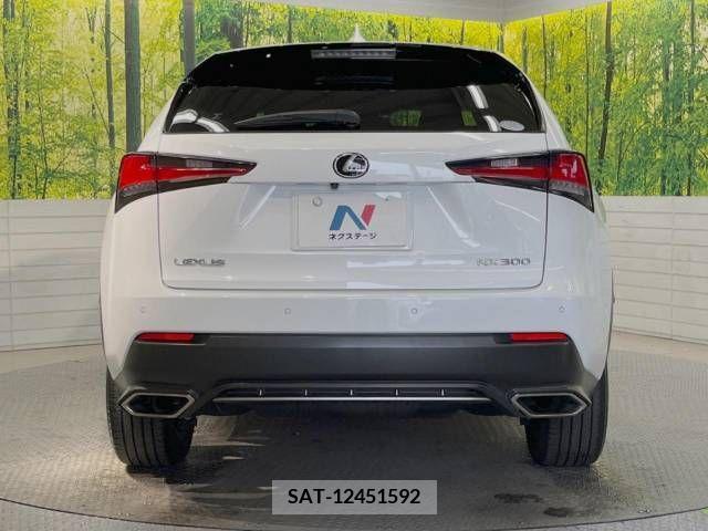 Lexus NX 2018-06 275654-15