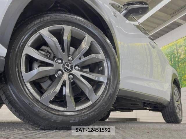 Lexus NX 2018-06 275654-13
