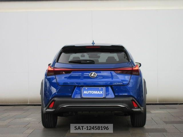Lexus UX 2023-07 334406-7