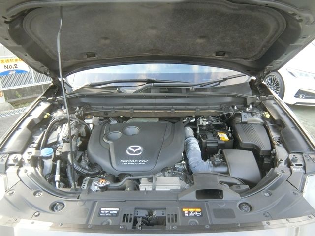 Mazda CX-8 2018-11 195096-20