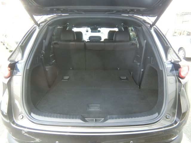 Mazda CX-8 2018-11 195096-9