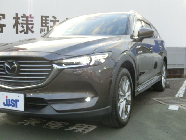 Mazda CX-8 2018-11 195096-18