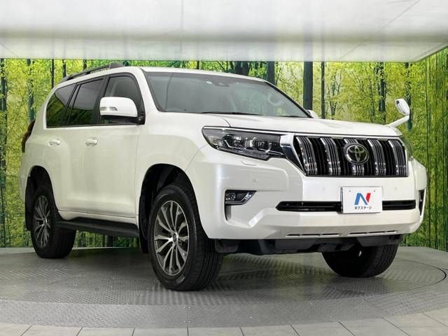 Toyota PRADO 2021-01 196115-17