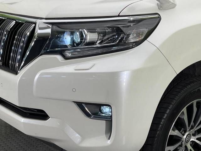 Toyota PRADO 2021-01 196115-13