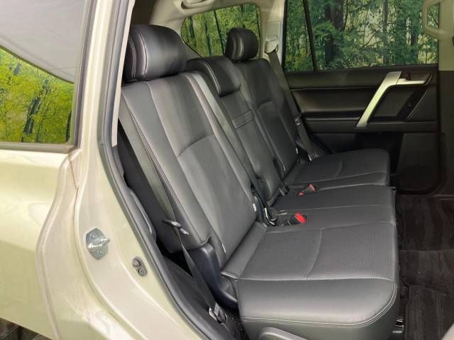 Toyota PRADO 2021-01 196115-9
