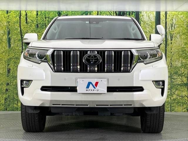 Toyota PRADO 2021-01 196115-15