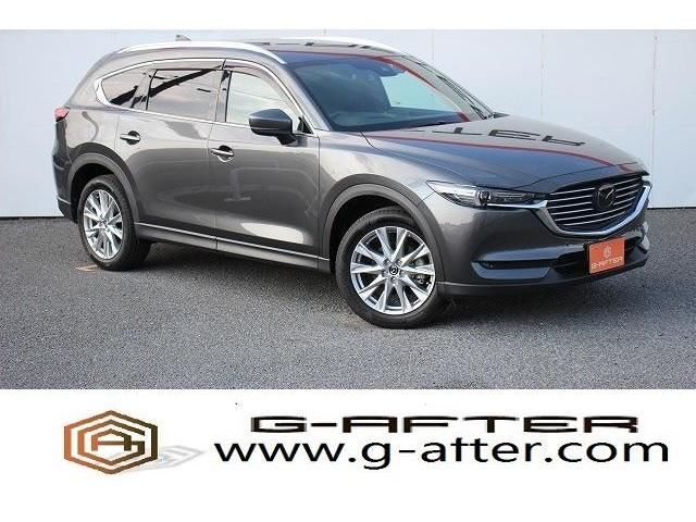 Mazda CX-8 2018-01 12643-0