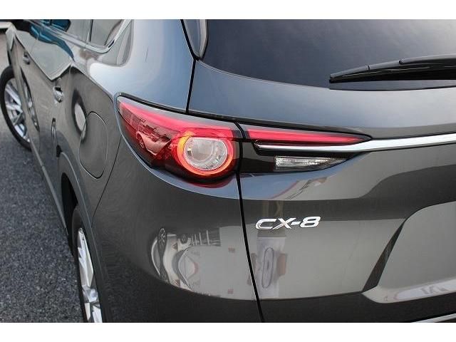 Mazda CX-8 2018-01 12643-13