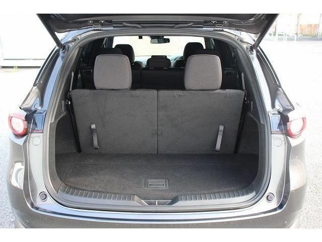 Mazda CX-8 2018-01 12643-17