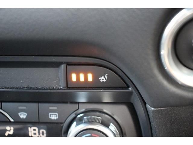 Mazda CX-8 2018-01 12643-4