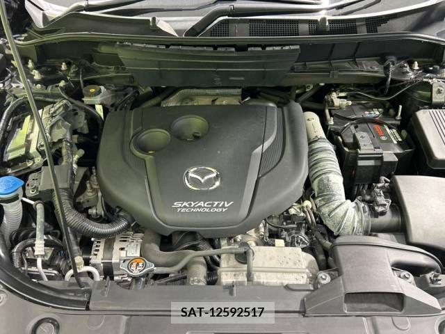Mazda CX-8 2018-01 210338-19