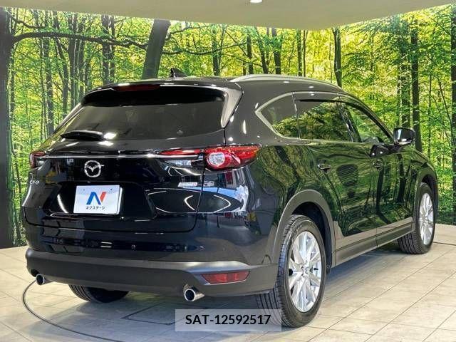 Mazda CX-8 2018-01 210338-18