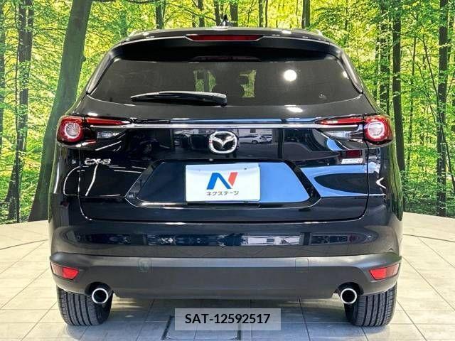 Mazda CX-8 2018-01 210338-16