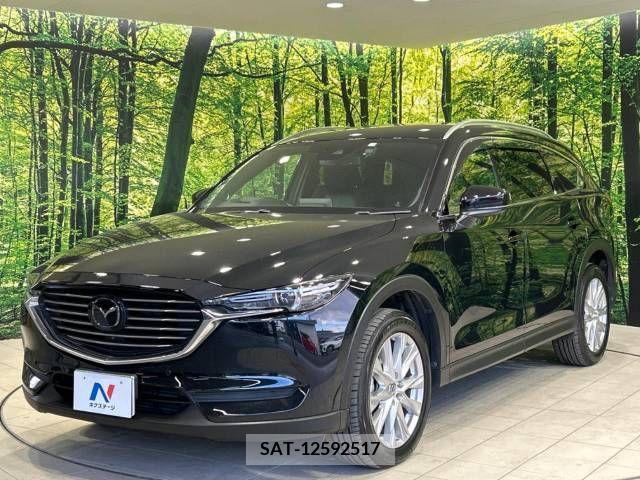Mazda CX-8 2018-01 210338-17