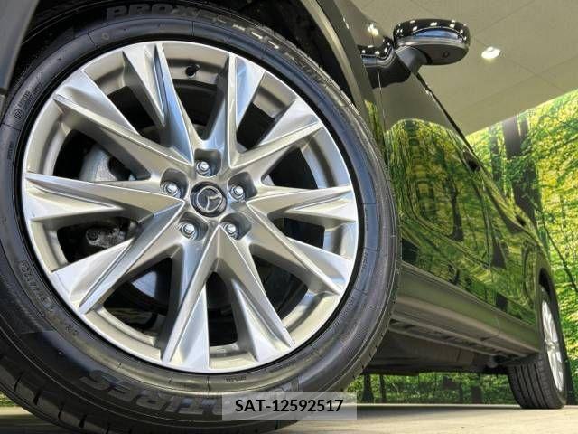 Mazda CX-8 2018-01 210338-14