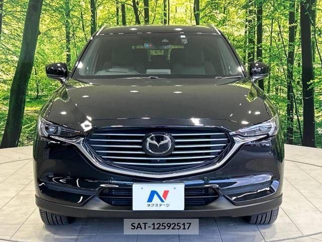 Mazda CX-8 2018-01 210338-15