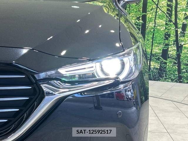Mazda CX-8 2018-01 210338-13