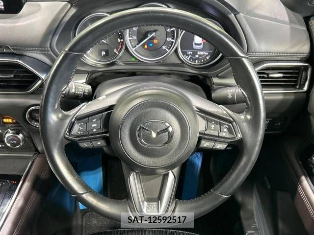 Mazda CX-8 2018-01 210338-12