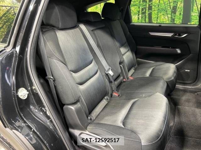 Mazda CX-8 2018-01 210338-9