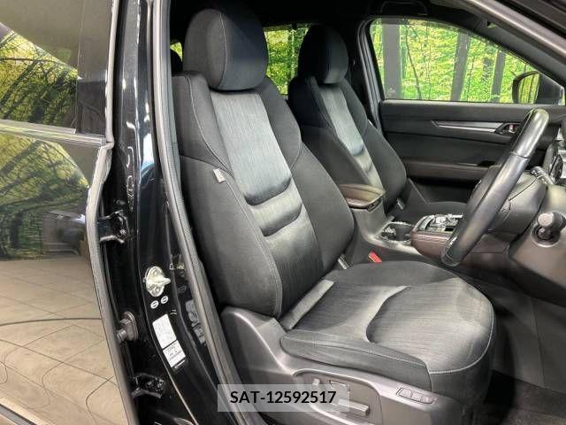 Mazda CX-8 2018-01 210338-8