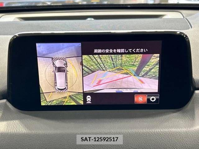 Mazda CX-8 2018-01 210338-6