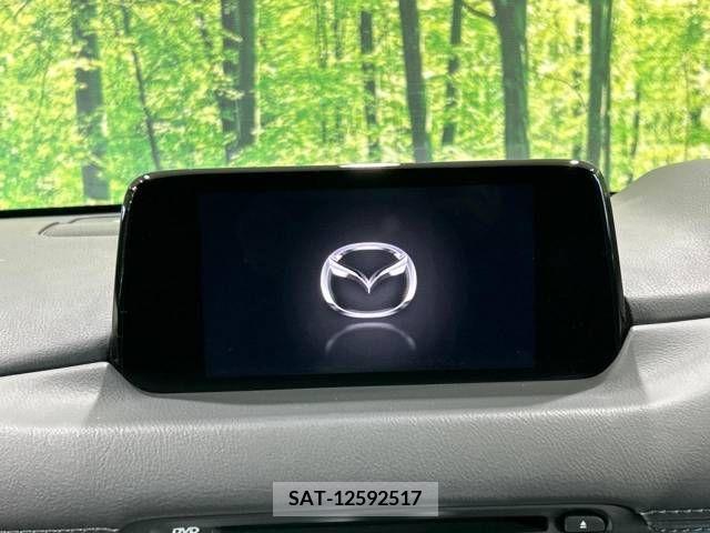 Mazda CX-8 2018-01 210338-5