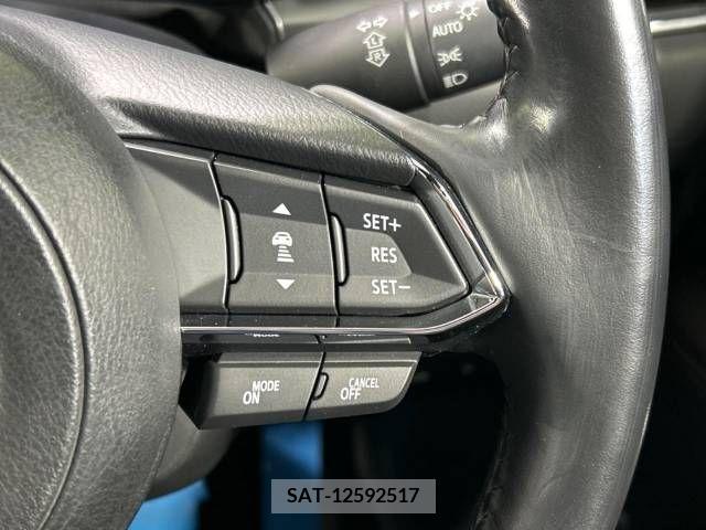 Mazda CX-8 2018-01 210338-4