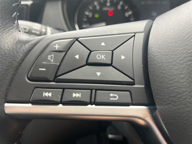 Nissan X-TRAIL 2021-04 187421-28