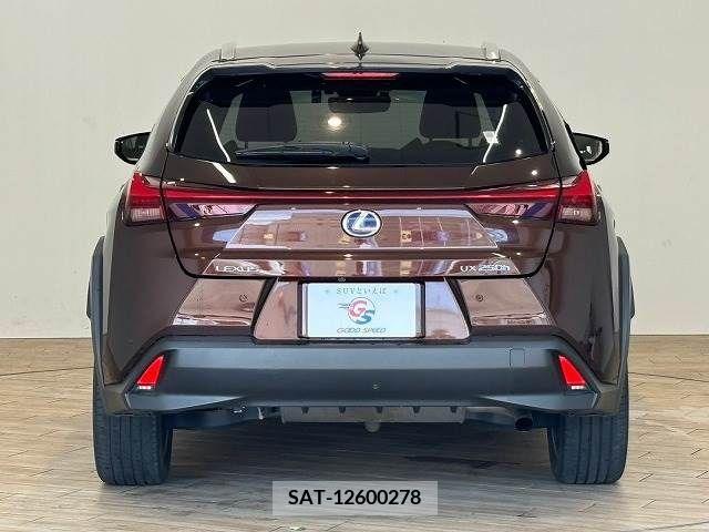 Lexus UX 2019-05 354009-12