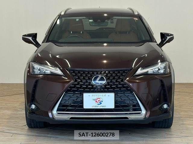 Lexus UX 2019-05 354009-11