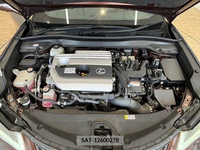 Lexus UX 2019-05 354009-19