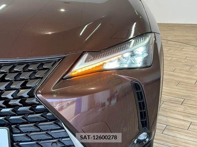 Lexus UX 2019-05 354009-18