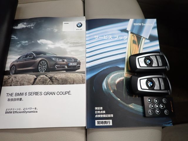 Bmw 6 SERIES 2013-07 8110-26