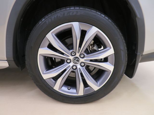 Lexus RX 2019-03 14920-7