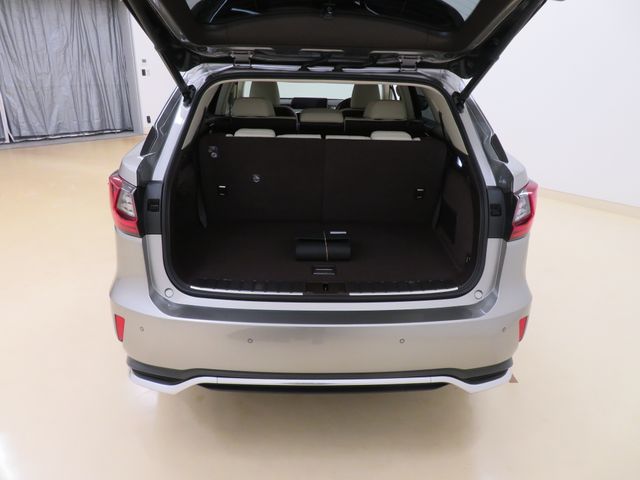 Lexus RX 2019-03 14920-6